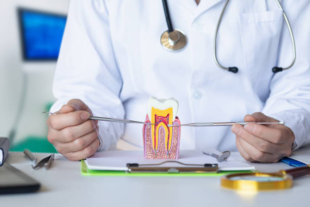 Best Mobile Emergency Dentist in Stamford, TX